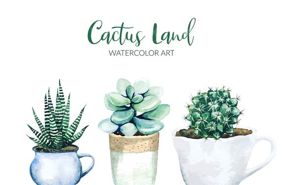 وکتور کاکاتوس