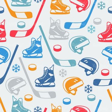 وکتور تجهیزات هاکی