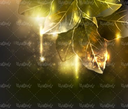 Flower background vector