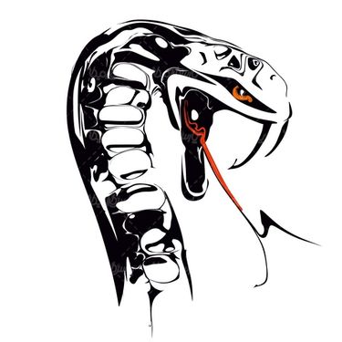 وکتور مار کبری