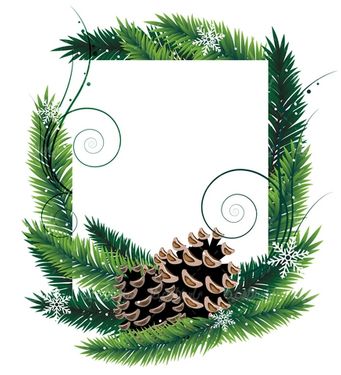 وکتور فریم برگ کاج