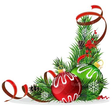 وکتور فریم برگ کاج