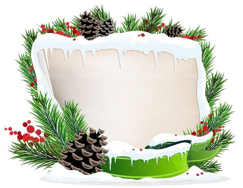 Pine leaf frame vector