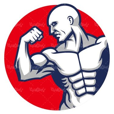 وکتور پرورش اندام