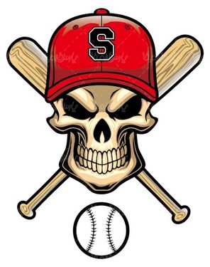 وکتور چوب بیسبال