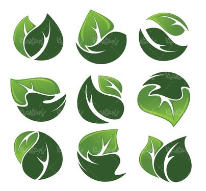 دانلود وکتور برگ