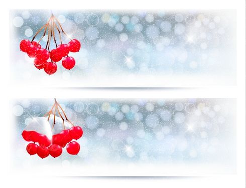 دانلود وکتور بک گراند برف