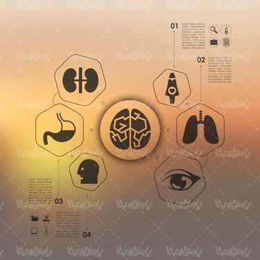 Download infographic vector