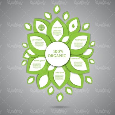 وکتور اینفوگرافی رنگی