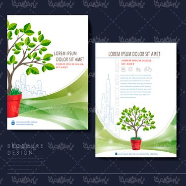 وکتور طرح خام