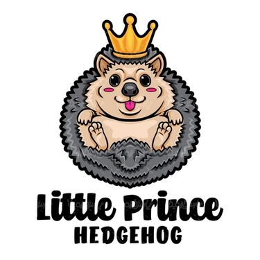 وکتور جوجه تیغی