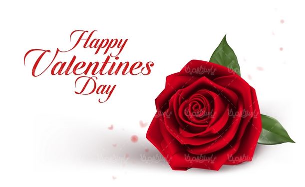 وکتور گل رز