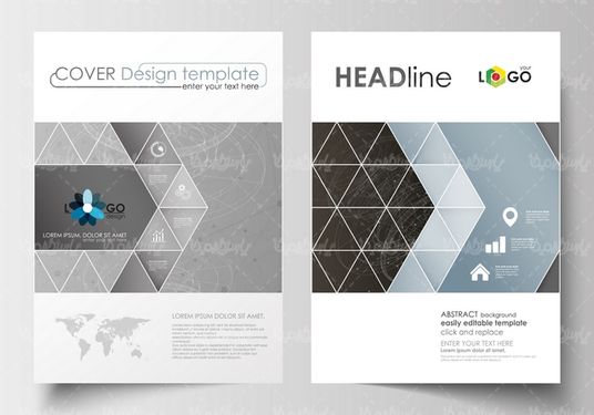 وکتور طرح خام