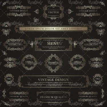 وکتور حاشیه گل