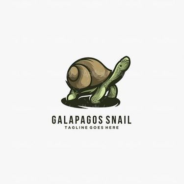 وکتور لاکپشت