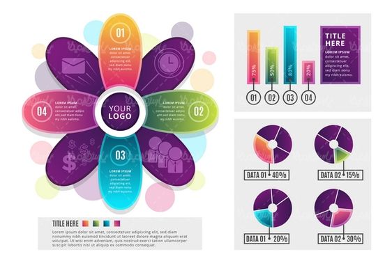 Vector infographic