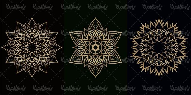 وکتور گل و بوته