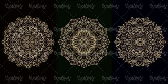 وکتور گل و بوته