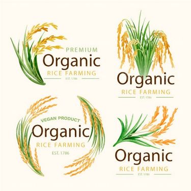 وکتور لیبل ارگانیک