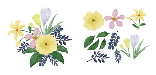 وکتور گل زیبا