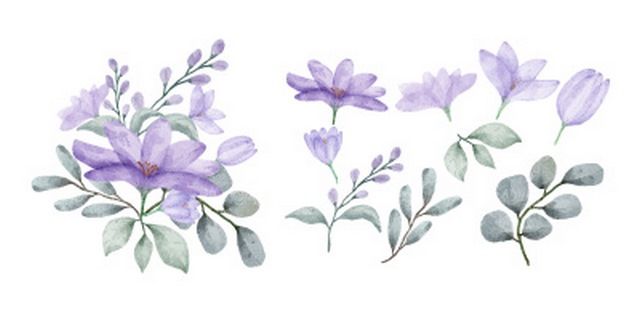 وکتور گل زیبا