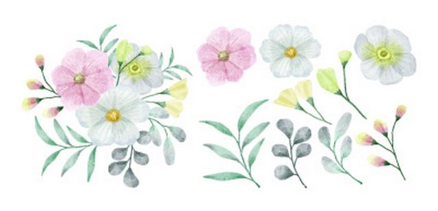 وکتور گل زیبا