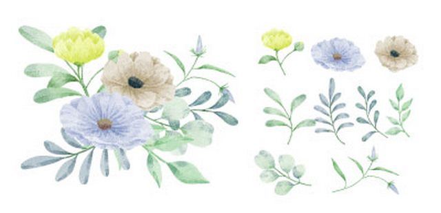 Beautiful flower vector