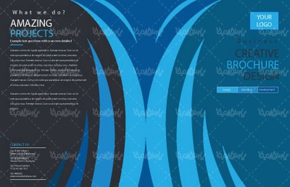 وکتور طرح خام