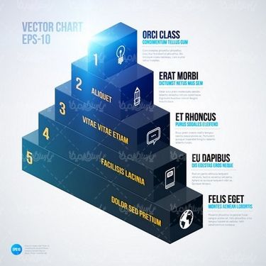 Vector infographic