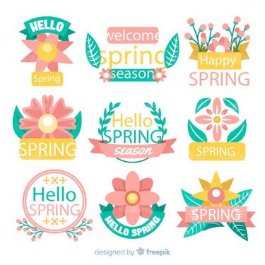 وکتور فریم گل