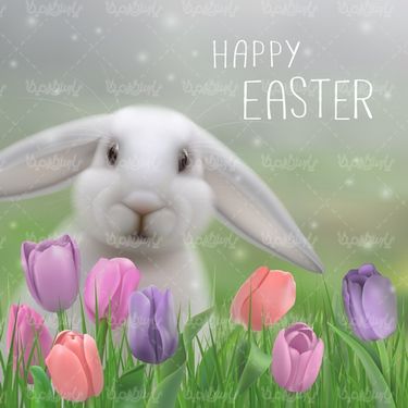 وکتور تخم مرغ رنگی