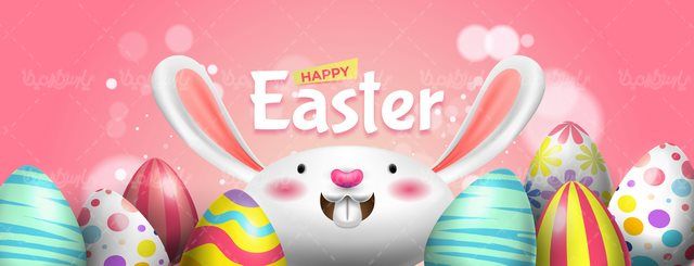 وکتور تخم مرغ رنگی