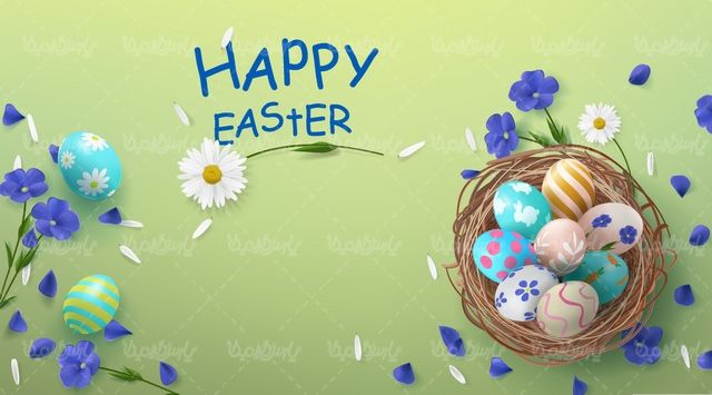 وکتور تخم مرغ رنگی