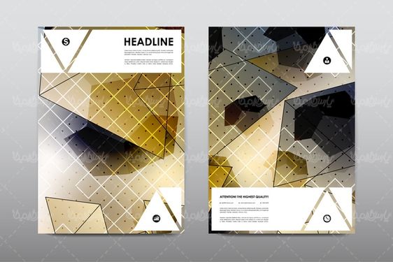 وکتور طرح خام