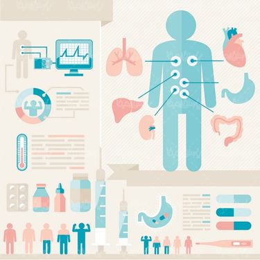 وکتور اماء و احشاء بدن انسان