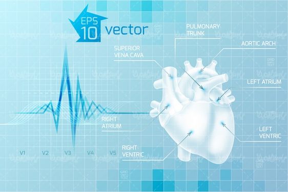 وکتور پزشکی