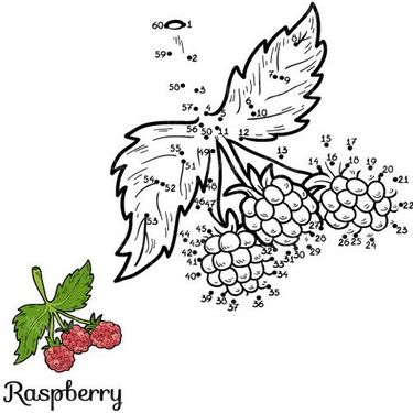 وکتور رنگ آمیزی