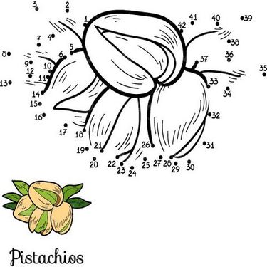 وکتور رنگ آمیزی