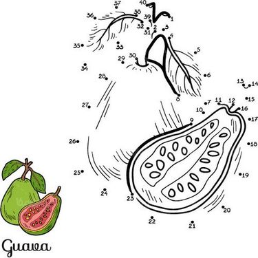 وکتور رنگ آمیزی