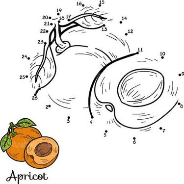وکتور رنگ آمیزی