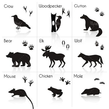 وکتور سیاه قلم حیوانات
