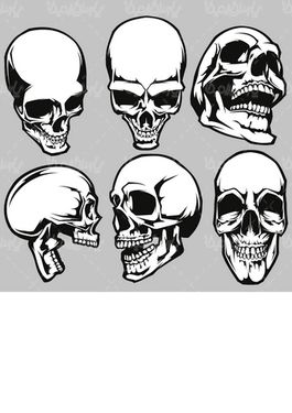 وکتور جمجمه