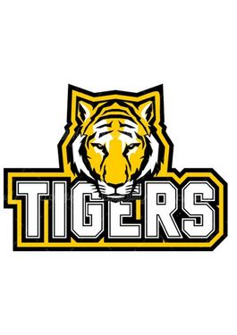 وکتور لوگو ببر