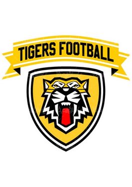 وکتور لوگو ببر