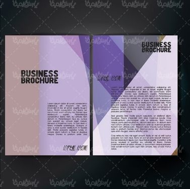 وکتور طرح خام