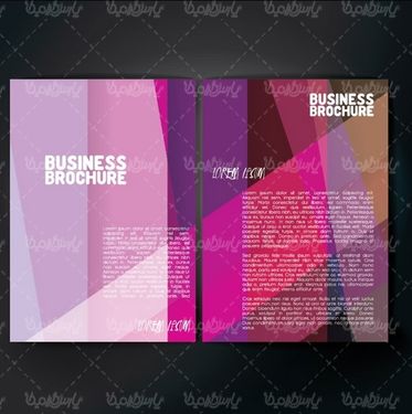 وکتور طرح رنگی