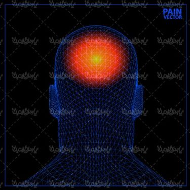 وکتور تصویر سه بعدی سر انسان