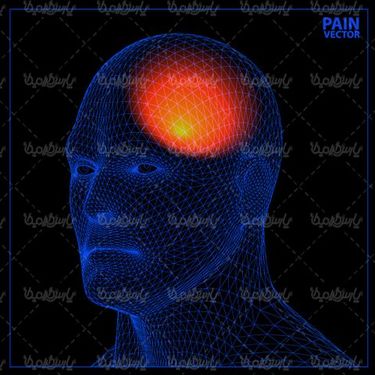 وکتور تصویر سه بعدی سر انسان