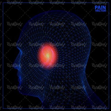 3D image of human head