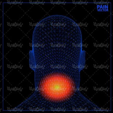 3D image of human head